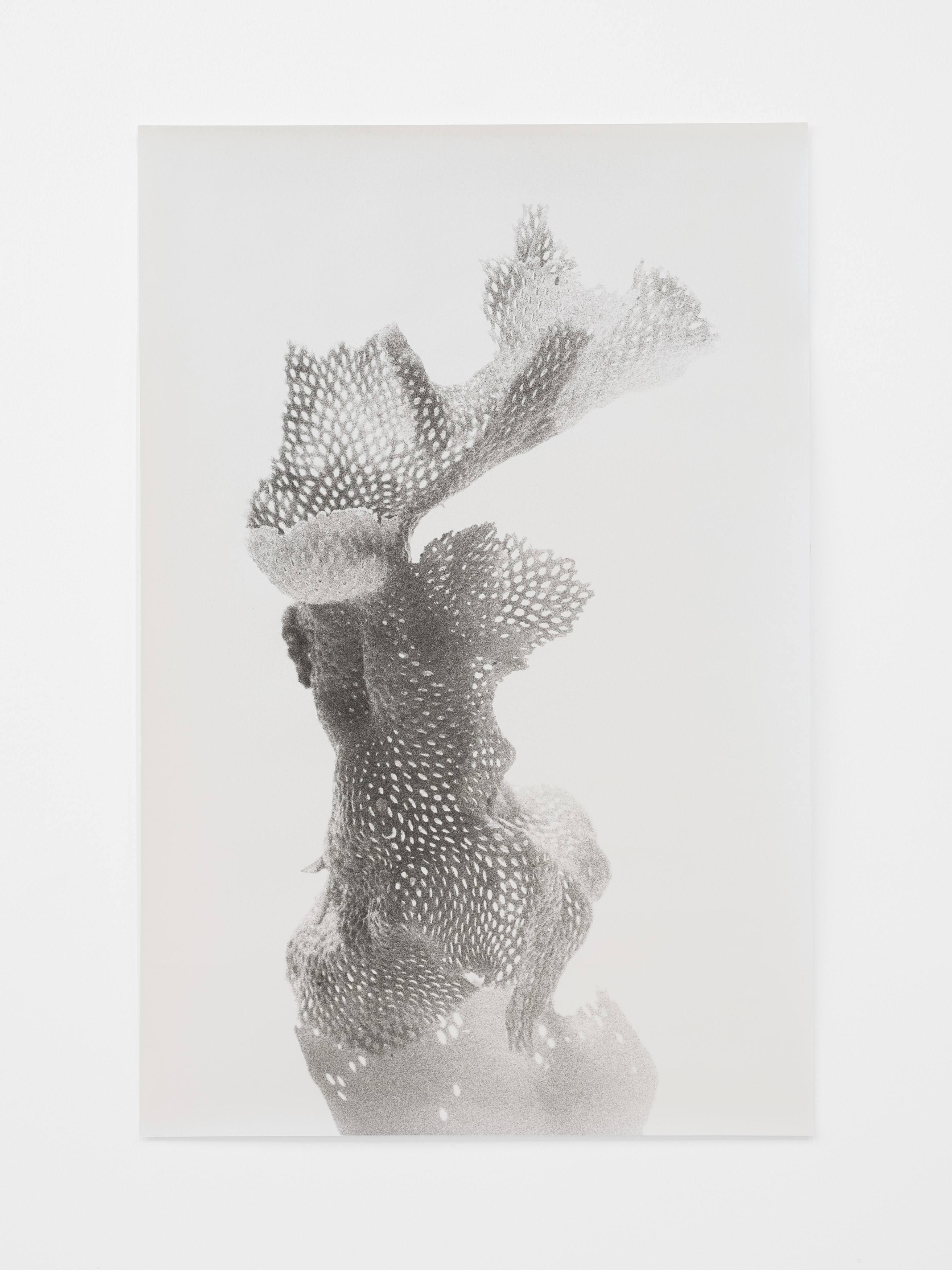 Jochen Lempert, Lin May Saeed, Untitled at Chris Sharp Gallery, photo 66