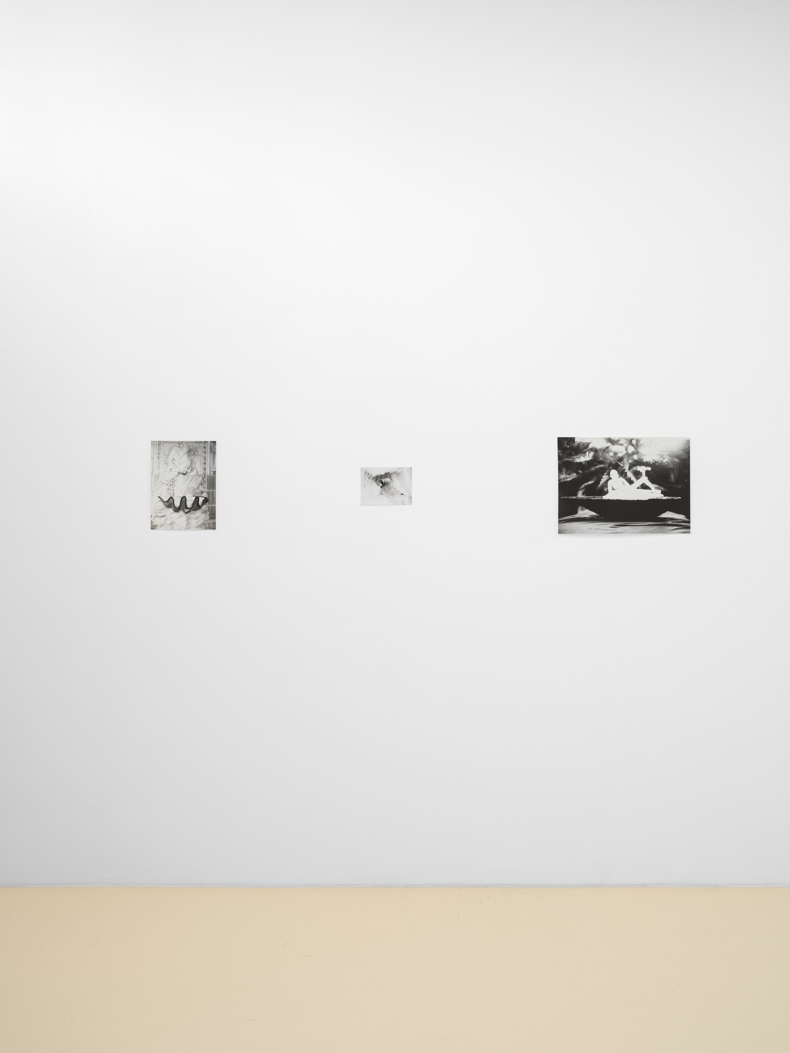 Jochen Lempert, Lin May Saeed, Untitled at Chris Sharp Gallery, photo 26