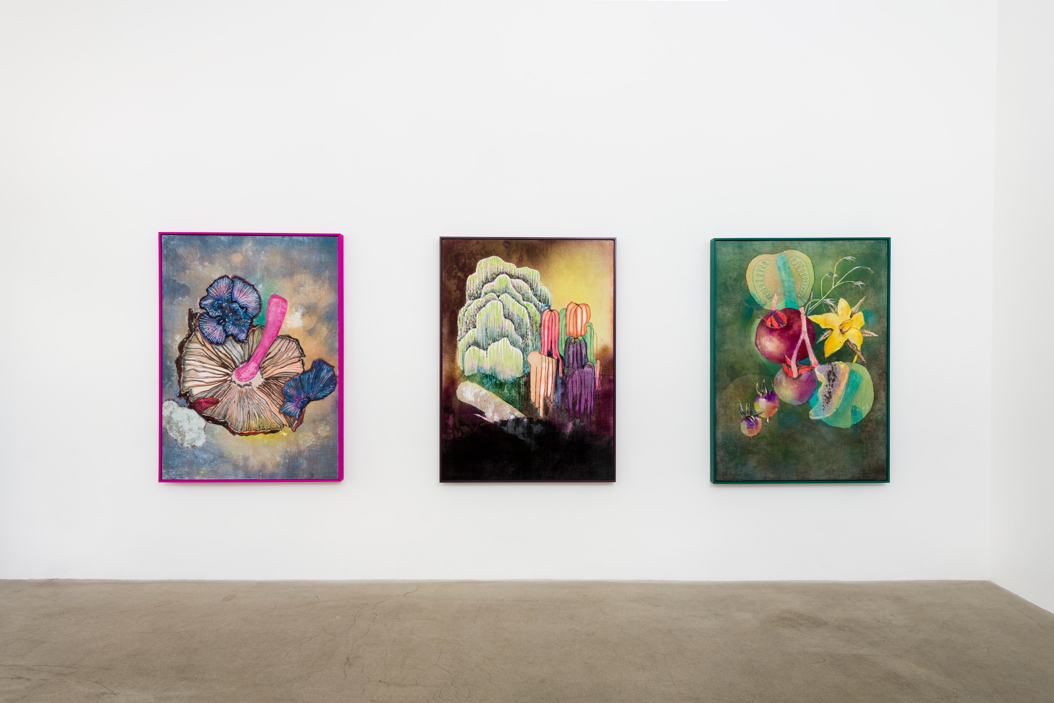 Travis Boyer, M.T.W.T.F.S.S. at NOON Projects, photo 3