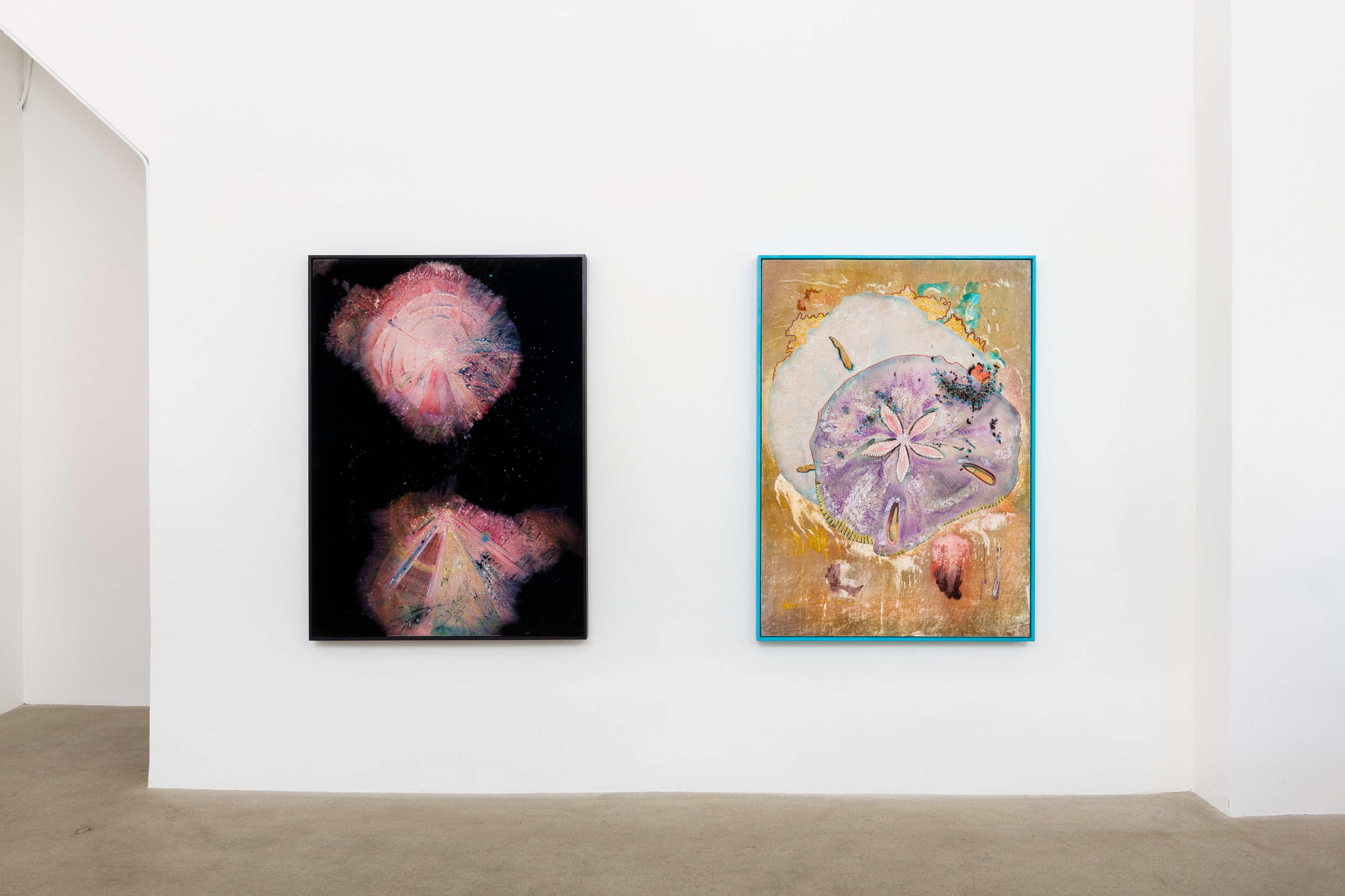 Travis Boyer, M.T.W.T.F.S.S. at NOON Projects, photo 5