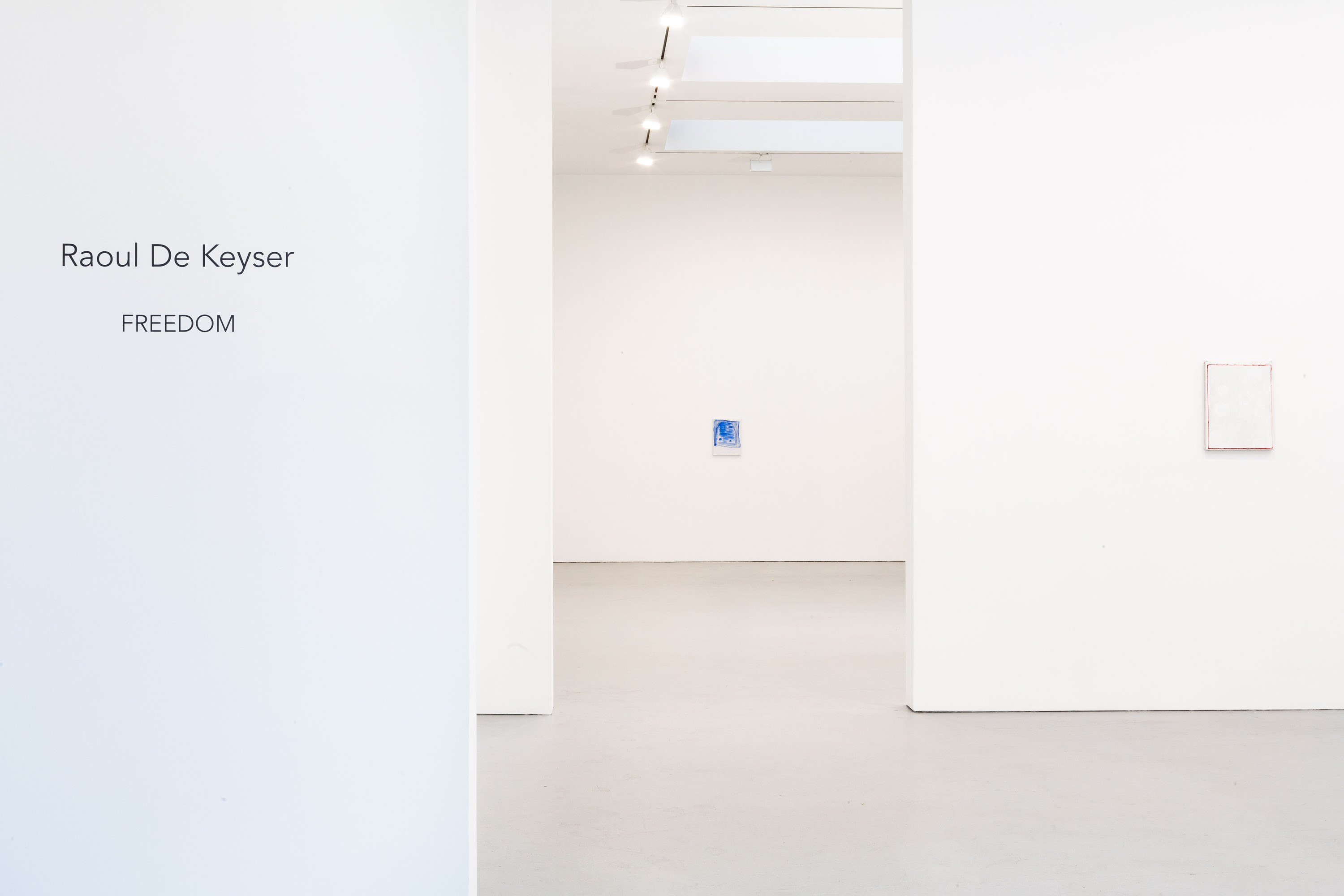 Raoul de Keyser, FREEDOM at Josh Smith Studio, Brooklyn, photo 3