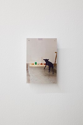 Image 8 of 71