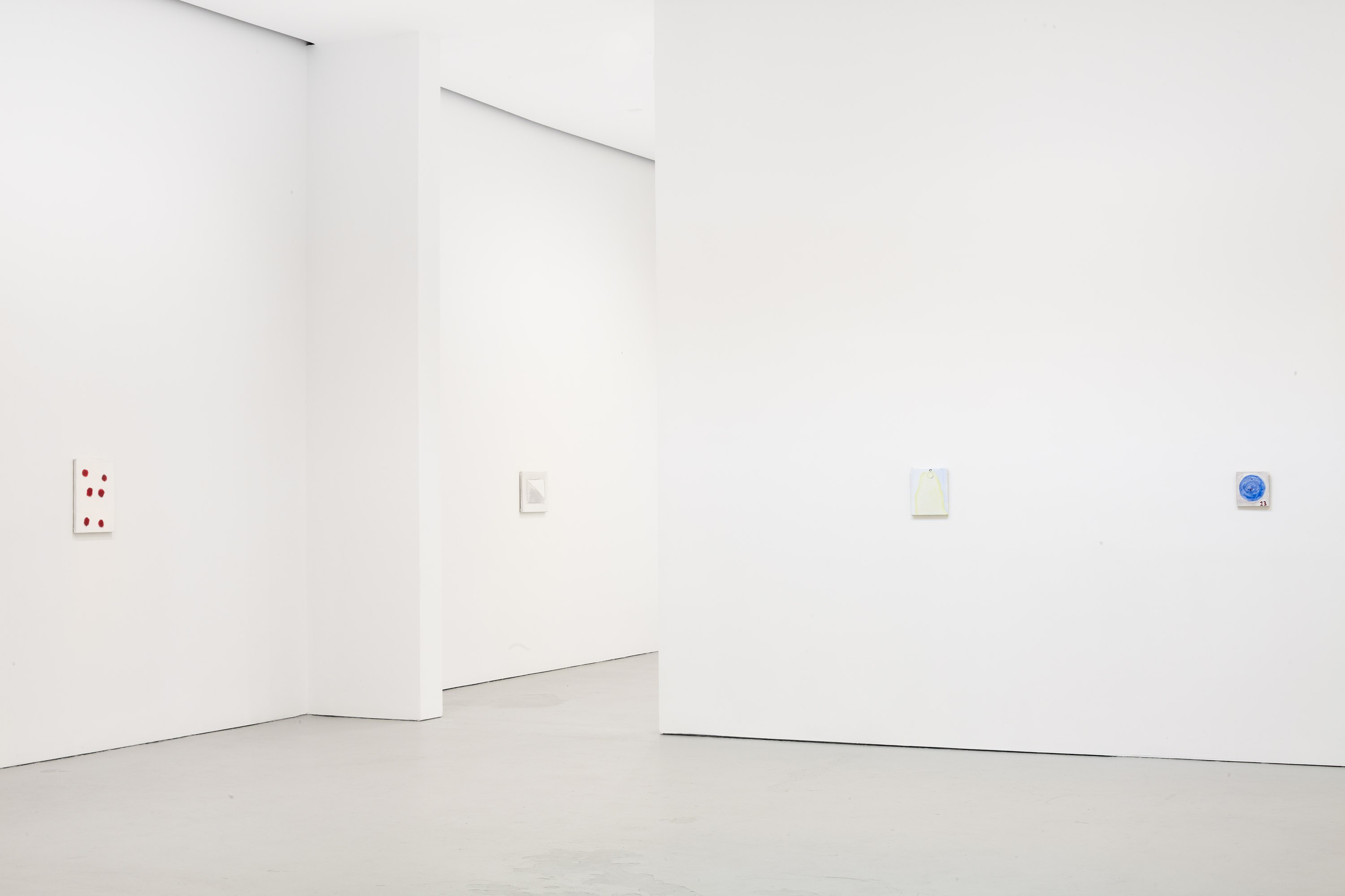 Raoul de Keyser, FREEDOM at Josh Smith Studio, Brooklyn, photo 5