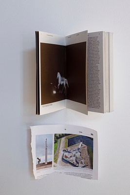 Image 7 of 71