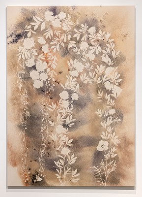 Image 44 of 73