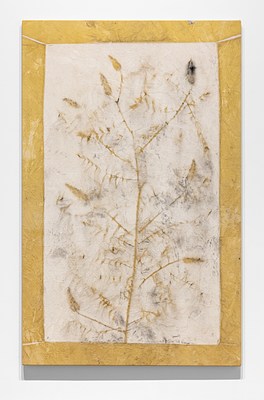 Image 45 of 73