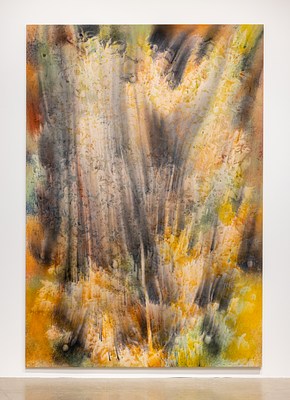 Image 48 of 73