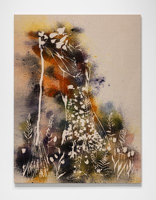 Image 72 of 73