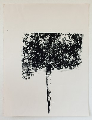 Image 20 of 21