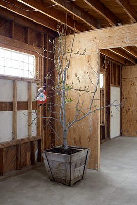 Image 12 of 34