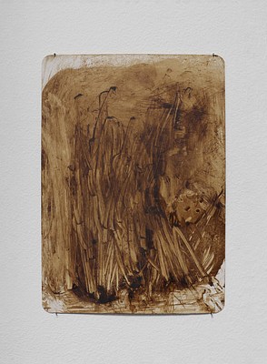 Image 14 of 32