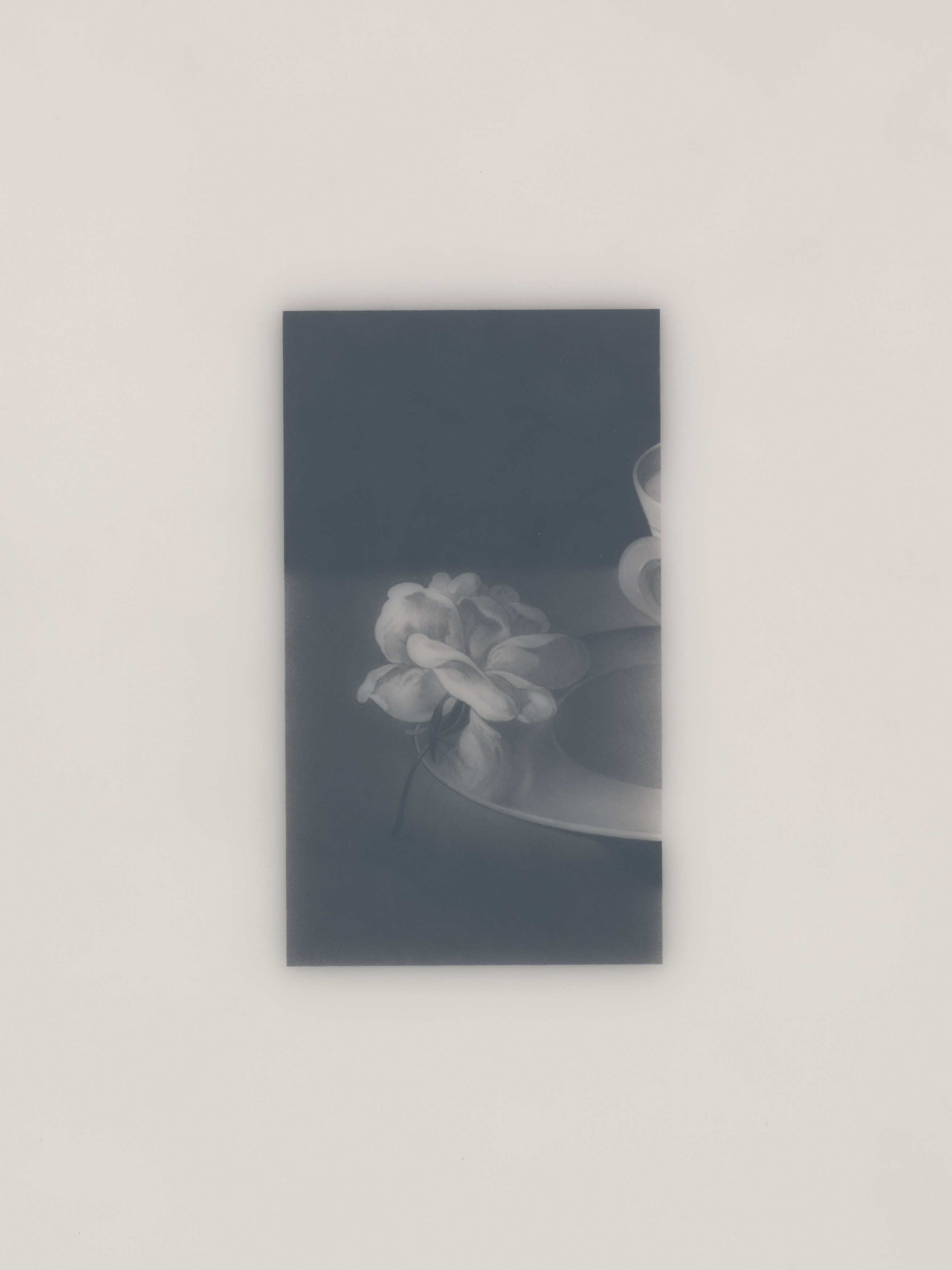 Cupid's Bow, Cupid's Bow at Bel Ami, photo 97
