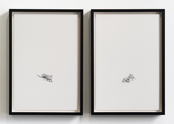 Image 10 of 23