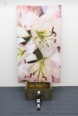 Image 19 of 33