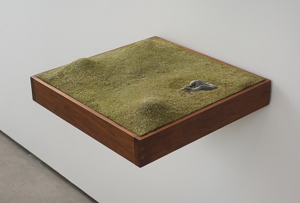 Image 4 of 40