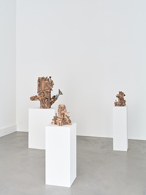 Image 4 of 16