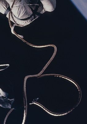 Image 13 of 13
