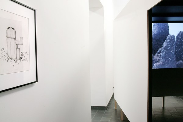 Image 8 of 20