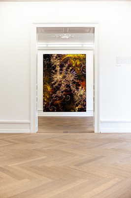 Image 3 of 24