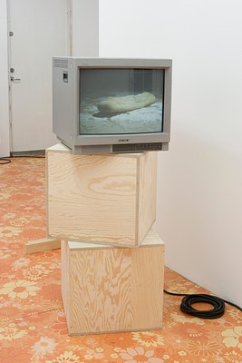 Image 15 of 15
