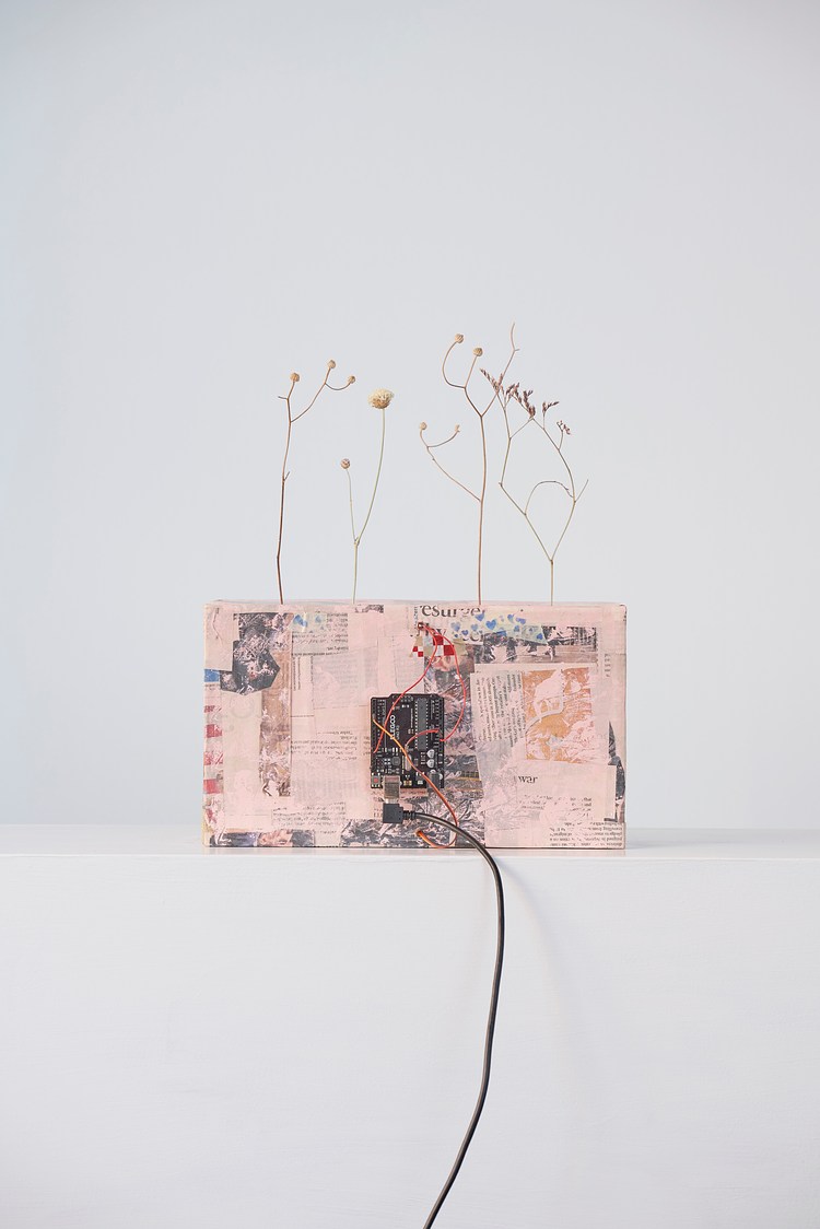 Flower in the Wind at Belmacz, London Contemporary Art Library