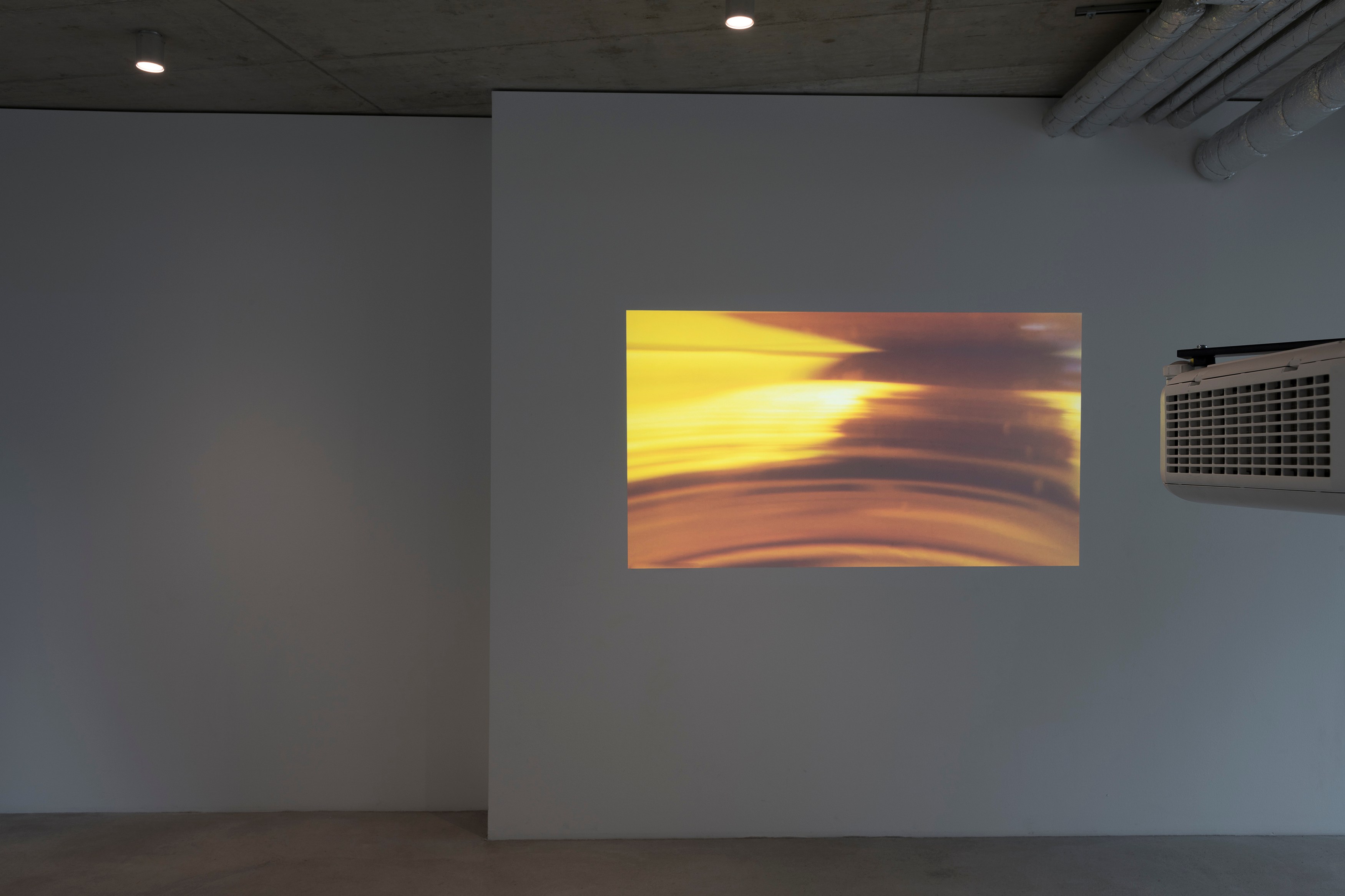Dora Budor, OLD WORLD at Galerie Molitor, photo 2
