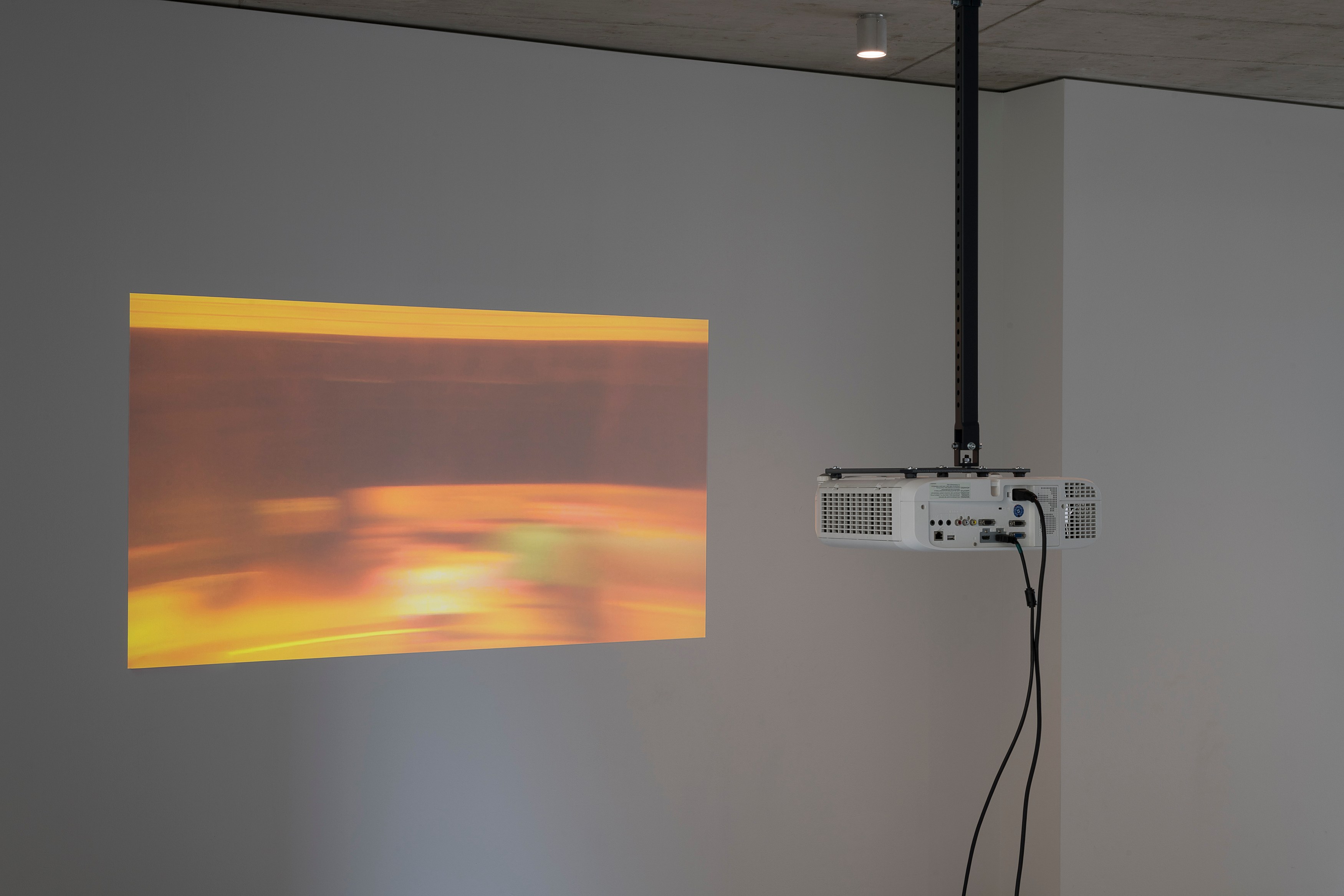 Dora Budor, OLD WORLD at Galerie Molitor, photo 4