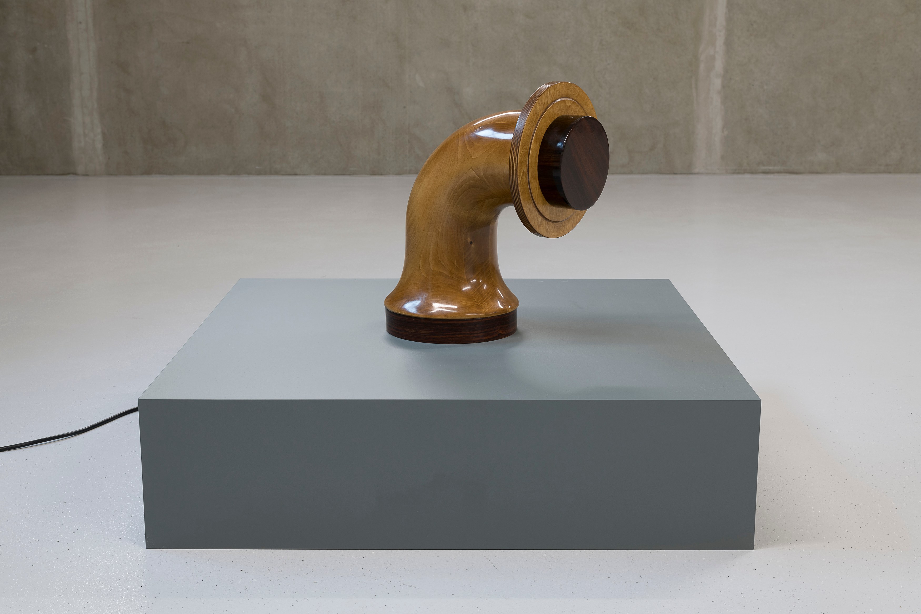 Dora Budor, OLD WORLD at Galerie Molitor, photo 11