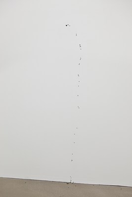 Image 5 of 6