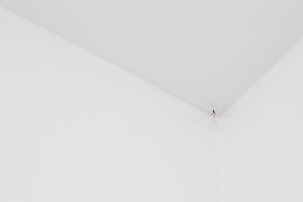 Image 6 of 6