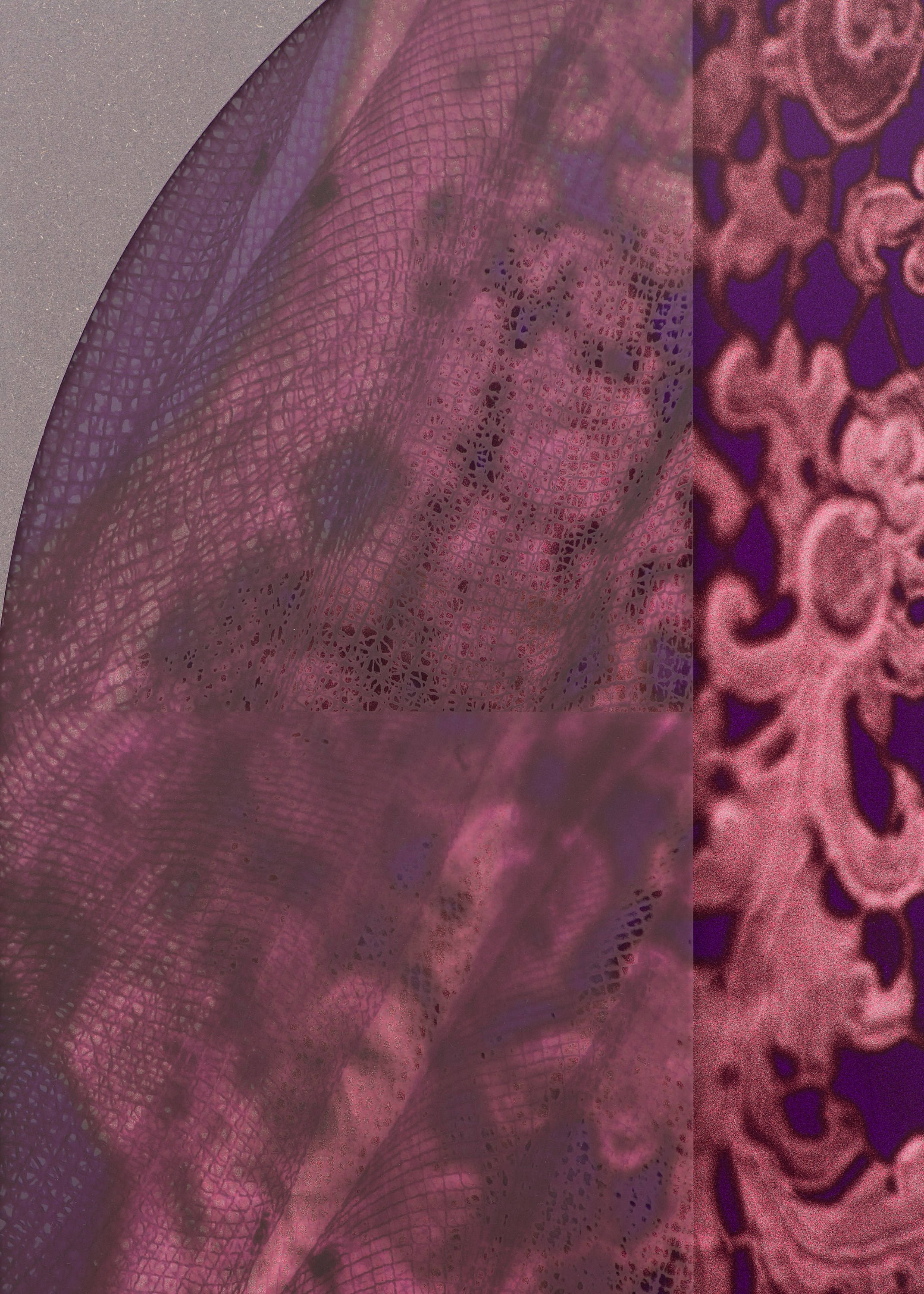 Sara VanDerBeek, Lace Interlace at The Approach, photo 27