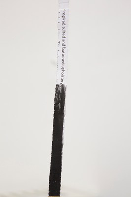 Image 6 of 15