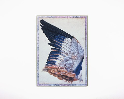 Image 19 of 23