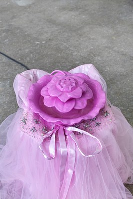 Image 22 of 27