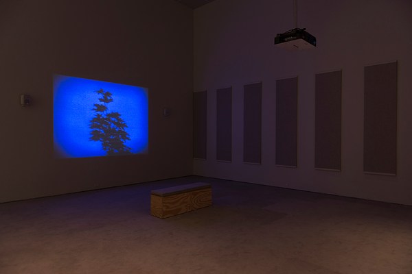 Image 10 of 13