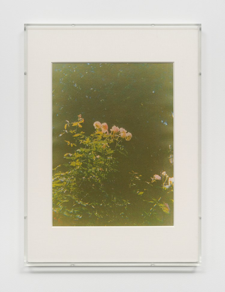 Laurel Gitlen Contemporary Art Library