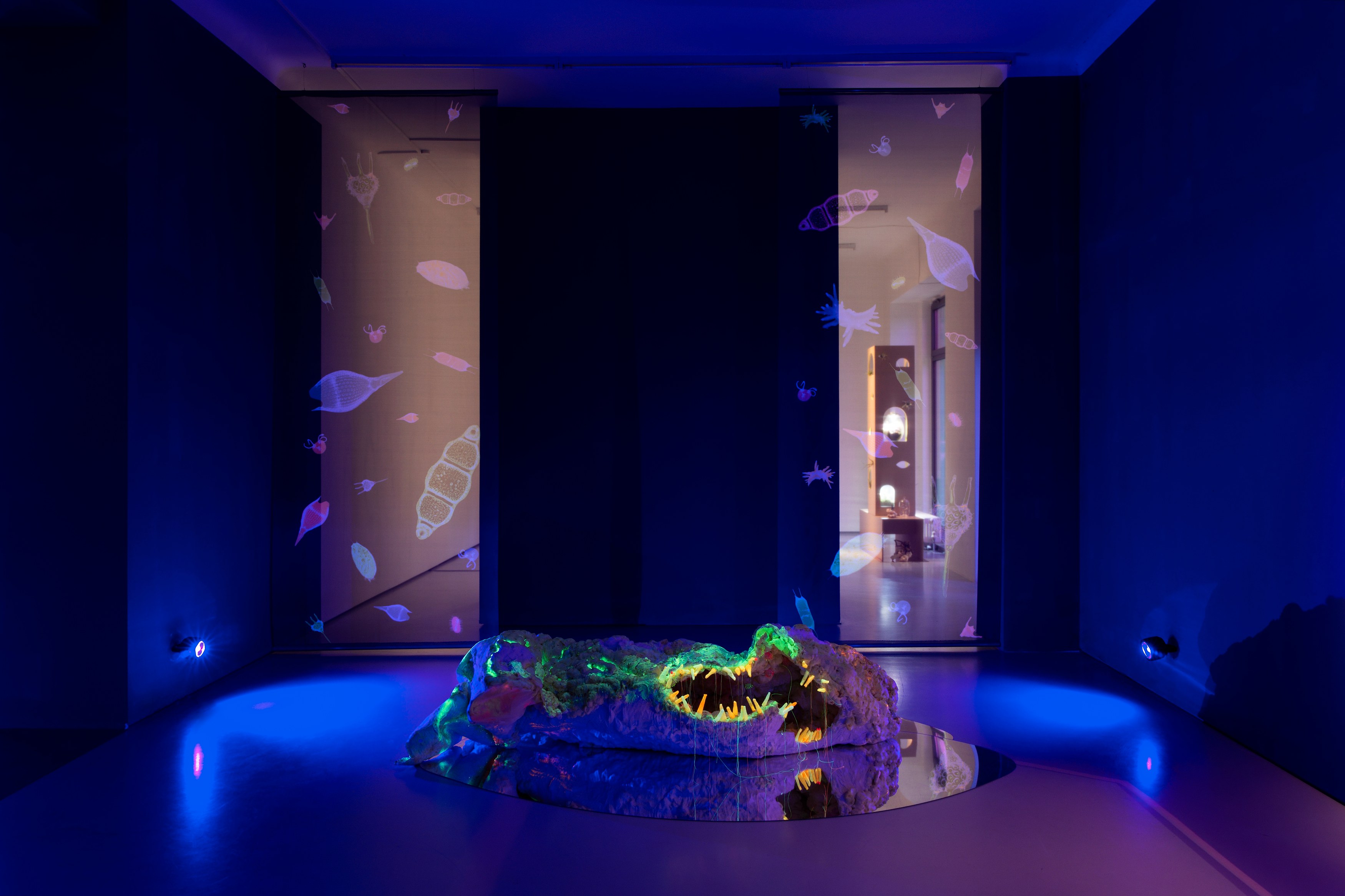 Anne Duk Hee Jordan, Worlds Away at alexander levy, Berlin and LEVY Galerie, Berlin, photo 4