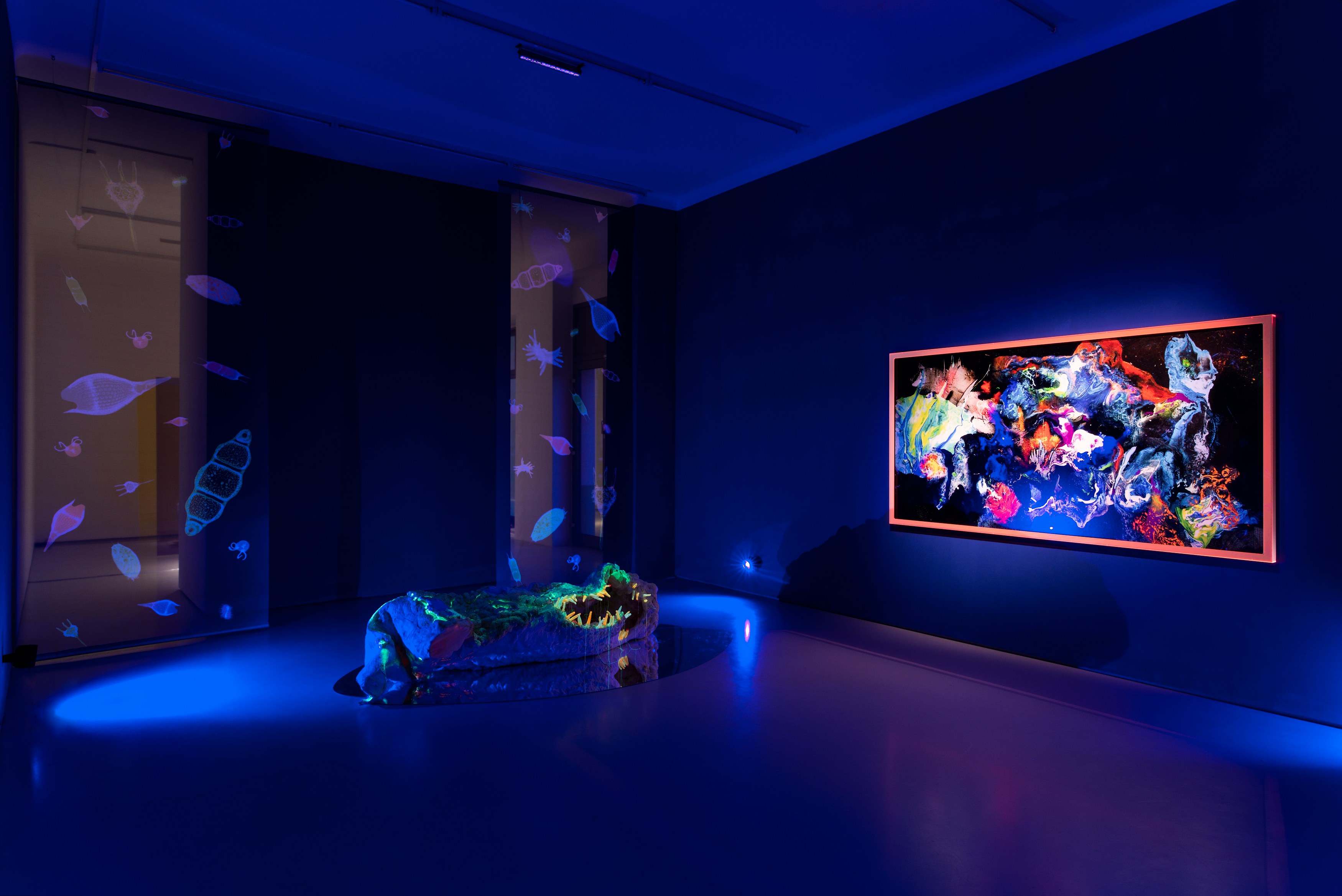 Anne Duk Hee Jordan, Worlds Away at alexander levy, Berlin and LEVY Galerie, Berlin, photo 5