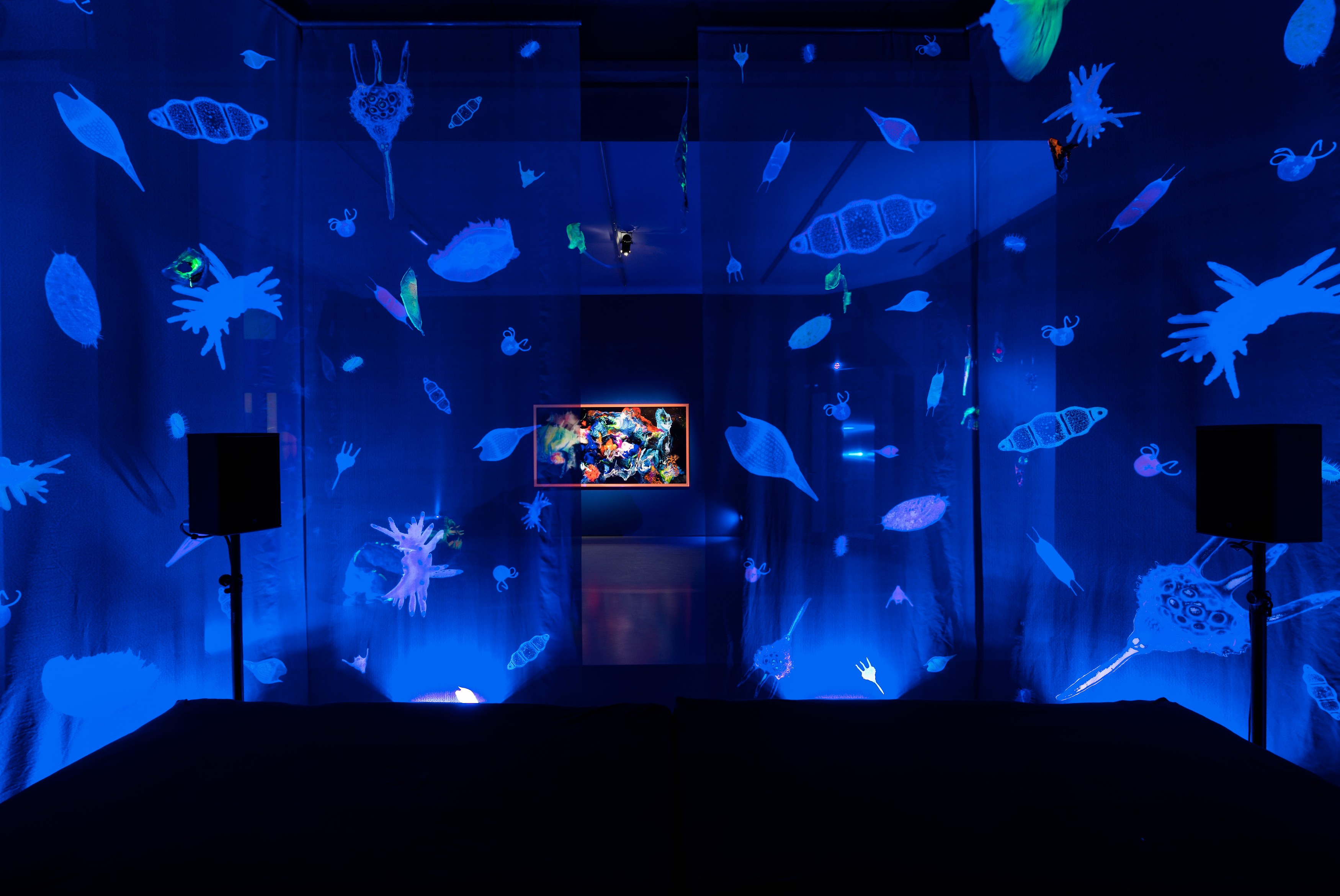 Anne Duk Hee Jordan, Worlds Away at alexander levy, Berlin and LEVY Galerie, Berlin, photo 6
