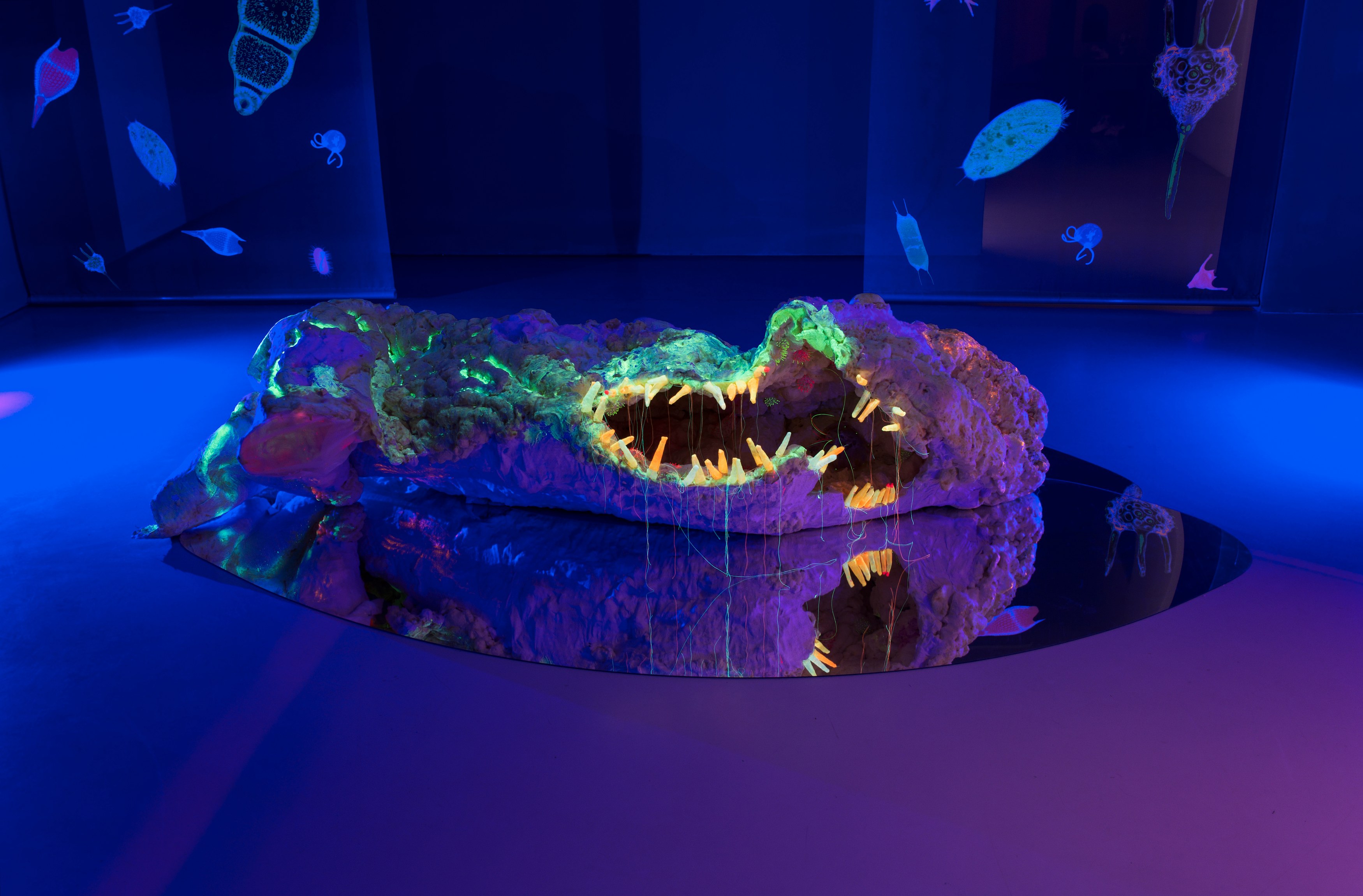 Anne Duk Hee Jordan, Worlds Away at alexander levy, Berlin and LEVY Galerie, Berlin, photo 8
