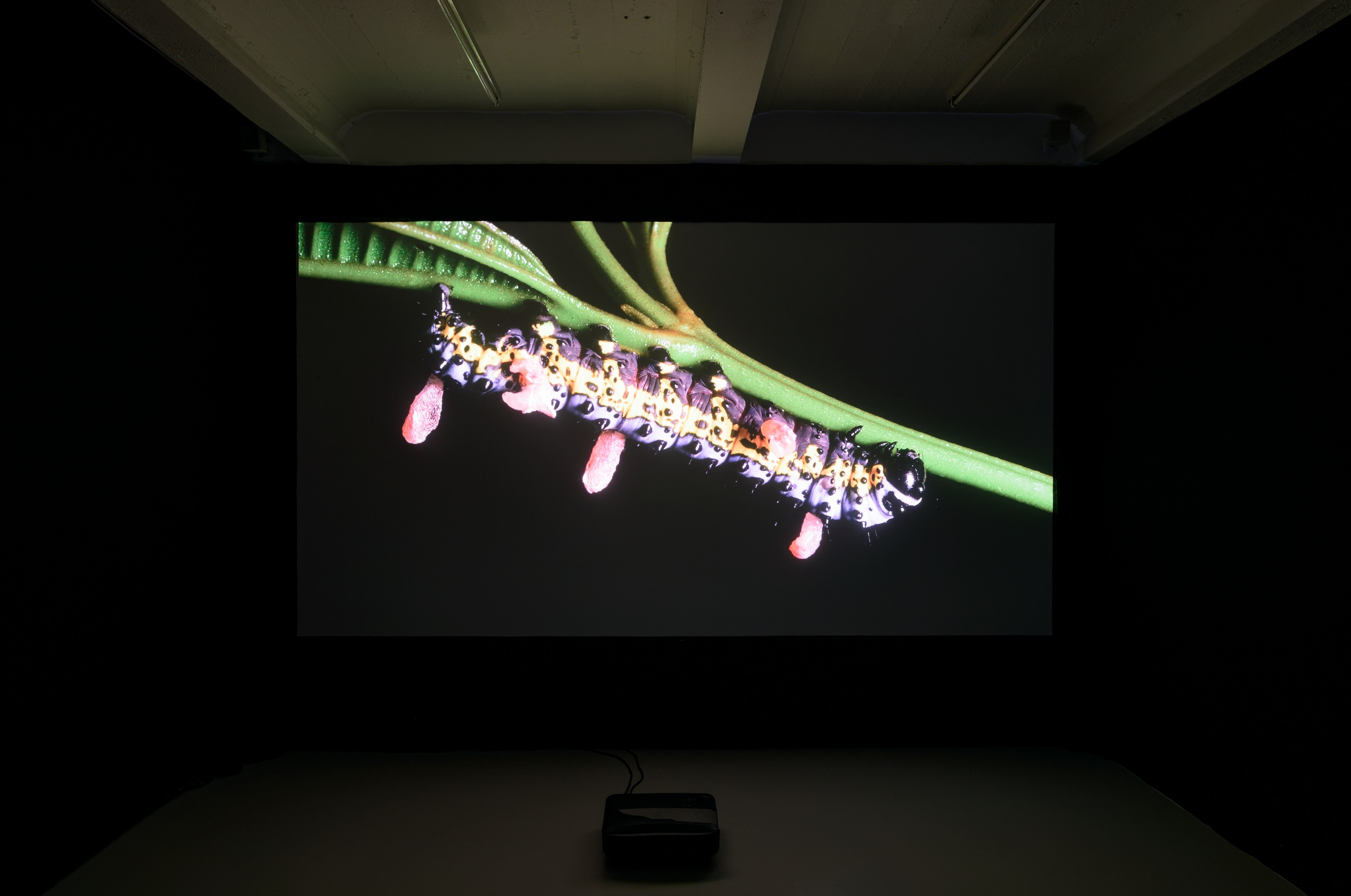 Anne Duk Hee Jordan, Worlds Away at alexander levy, Berlin and LEVY Galerie, Berlin, photo 9