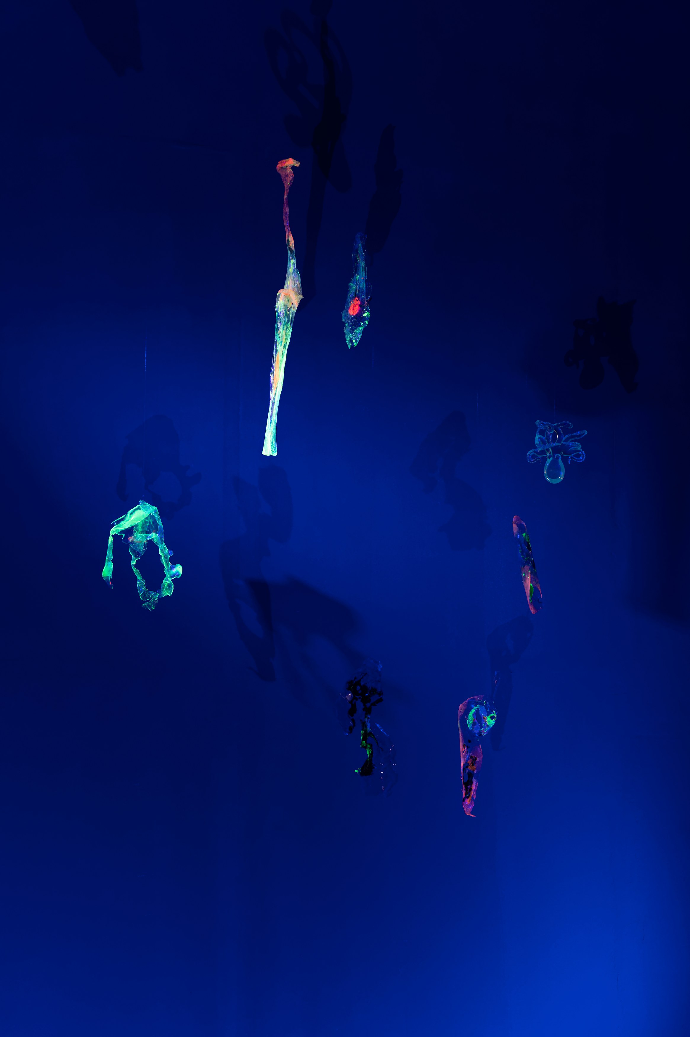 Anne Duk Hee Jordan, Worlds Away at alexander levy, Berlin and LEVY Galerie, Berlin, photo 11