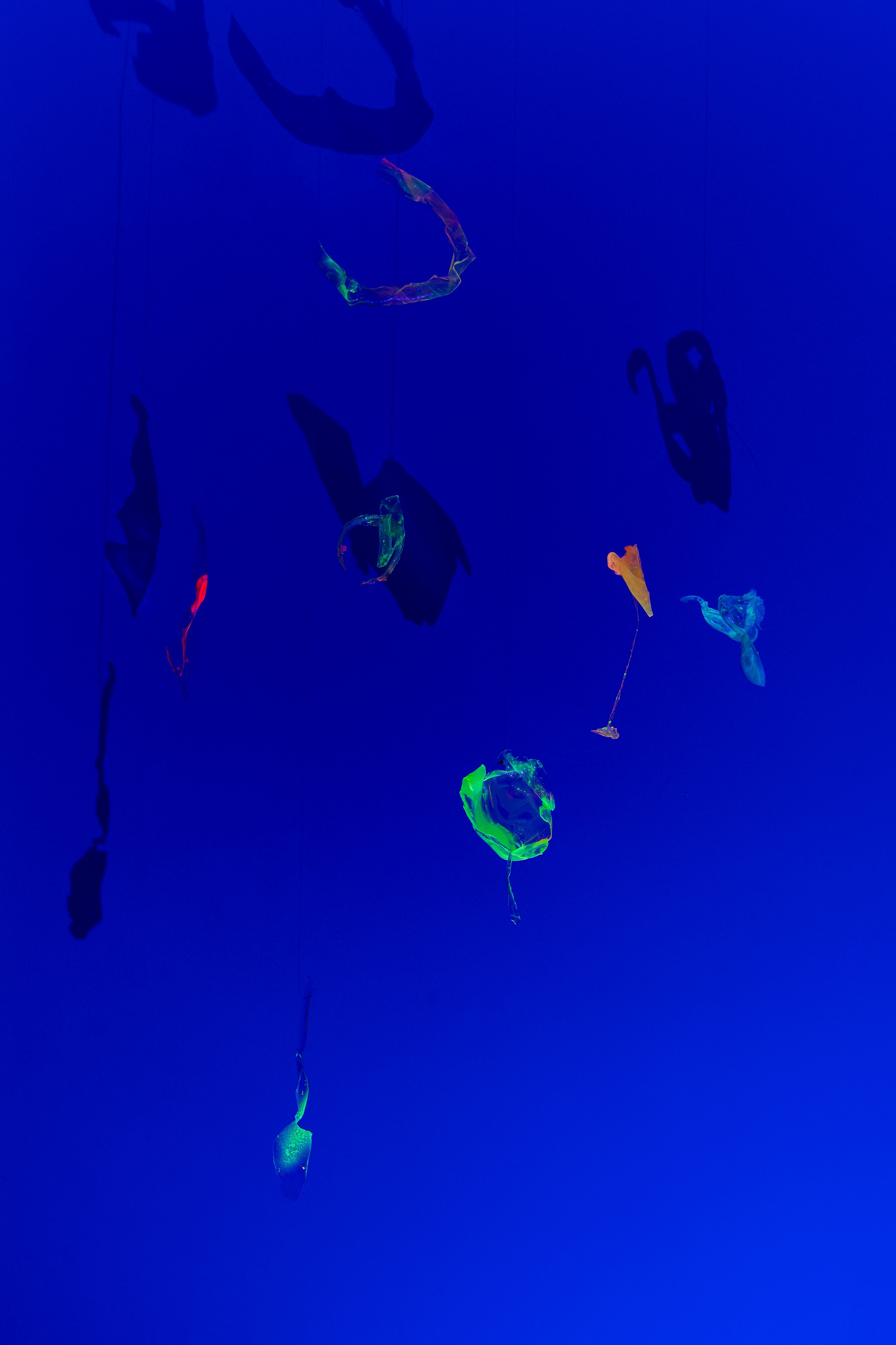 Anne Duk Hee Jordan, Worlds Away at alexander levy, Berlin and LEVY Galerie, Berlin, photo 10