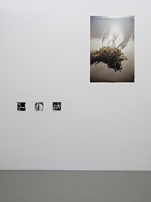Image 14 of 19