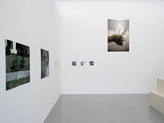 Image 17 of 19