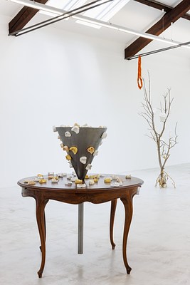 Image 4 of 30