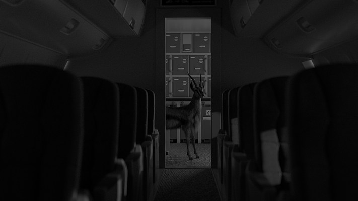 Image 12 of 16