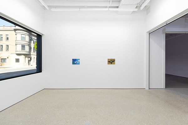 Image 4 of 36