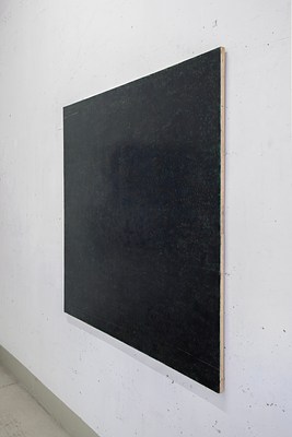 Image 9 of 16