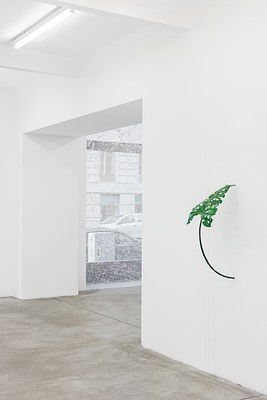 Image 4 of 17
